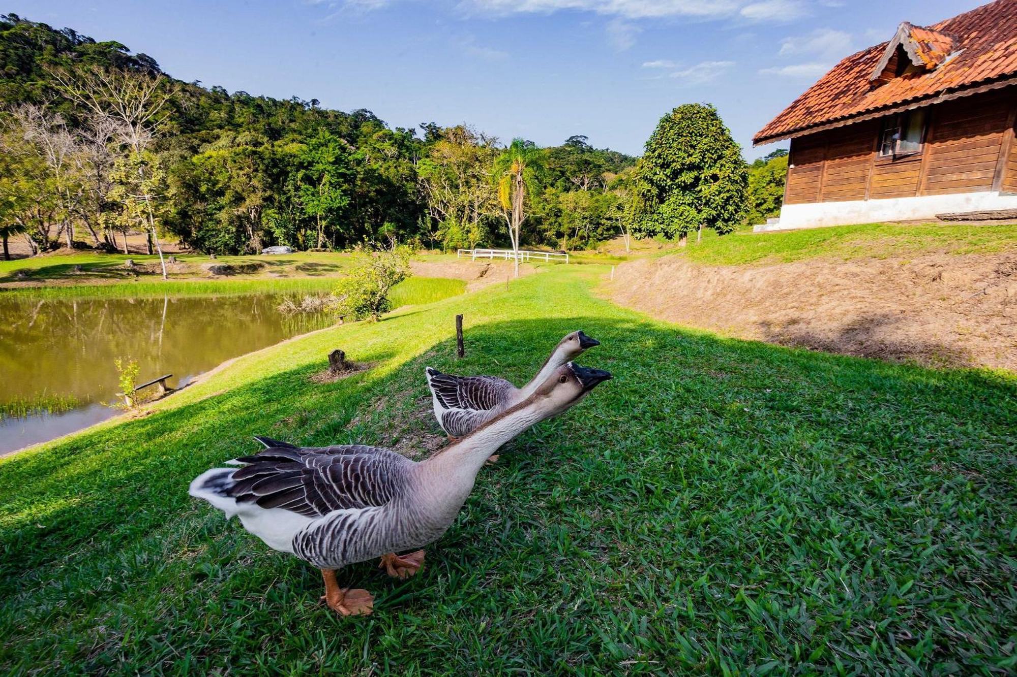 Recanto Das Aguas - Chales No Meio Da Mata Atlantica Eldorado Zewnętrze zdjęcie