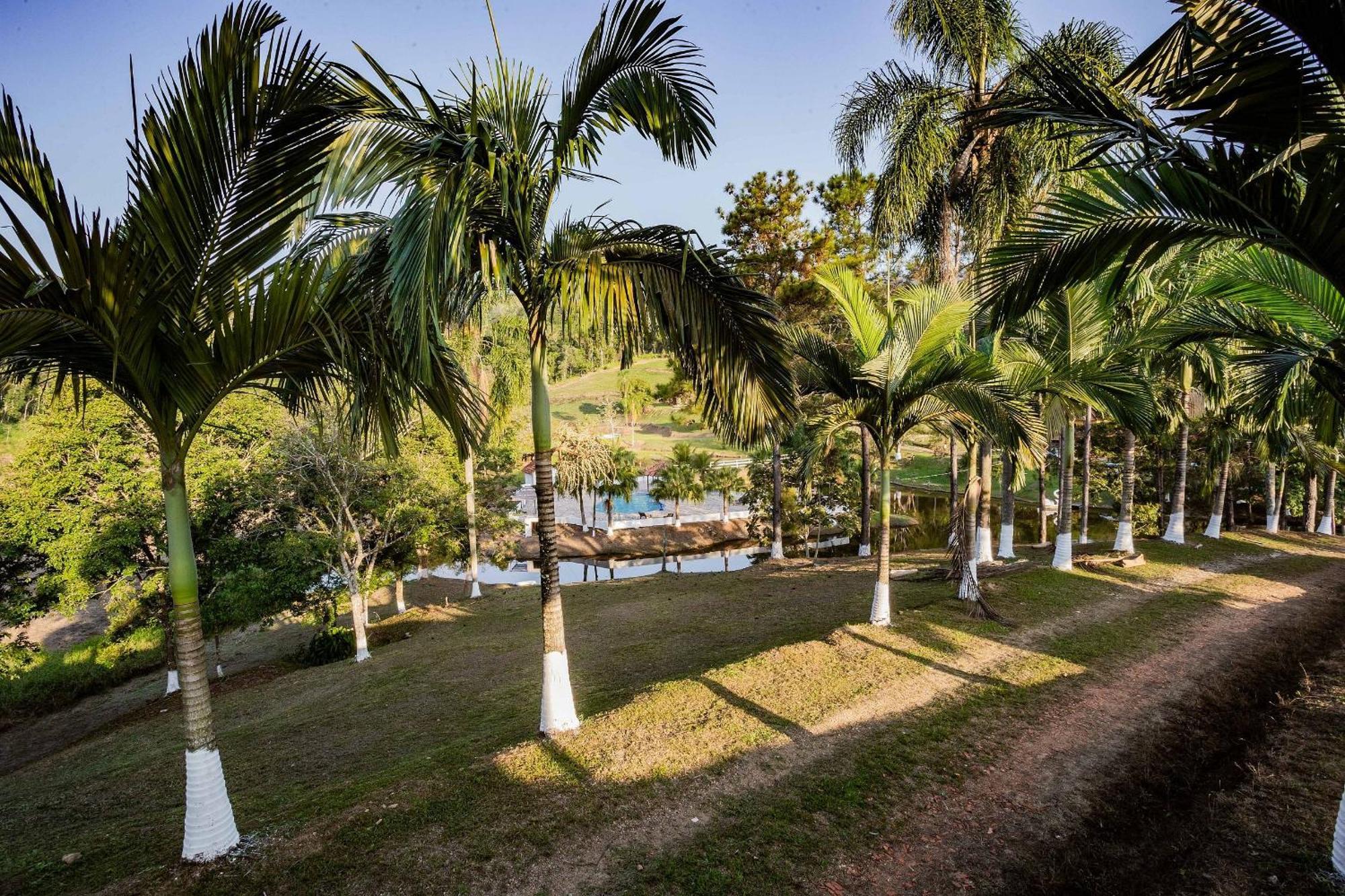 Recanto Das Aguas - Chales No Meio Da Mata Atlantica Eldorado Zewnętrze zdjęcie